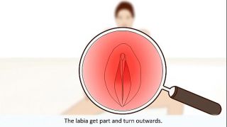 The female orgasm explained
