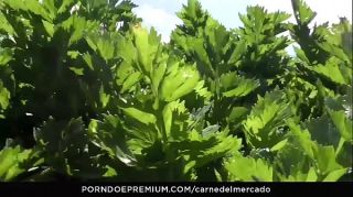 CARNE DEL MERCADO - Colombian Latina babe Andreina De Luxe hot pickup fuck and facial