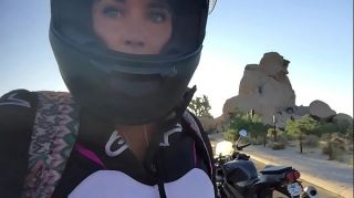 felicity feline rides motorcycle to joshua tree and plays outside