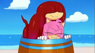 Knuckles & Amy Stuck [Excito]